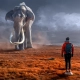 hombre mirando a un elefante