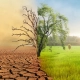 imagen de un árbol, la mitad seco la mitad verde