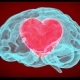 imagen de un cerebro y un corazón quiropráctica Pura Vida Badalona