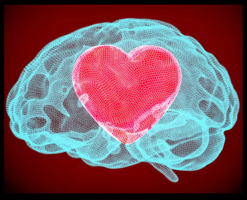imagen de un cerebro y un corazón quiropráctica Pura Vida Badalona