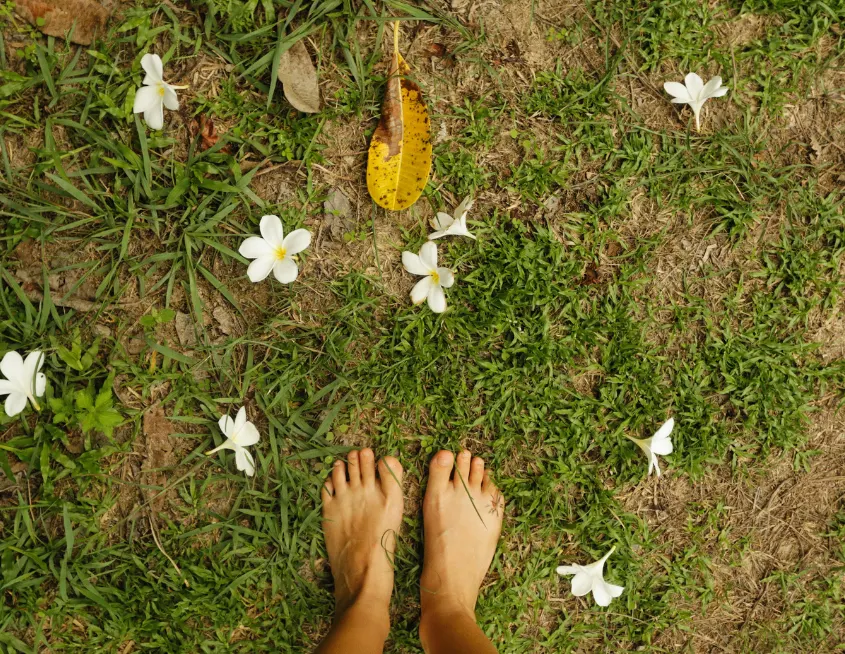 pies desacalzos sobre la hierba