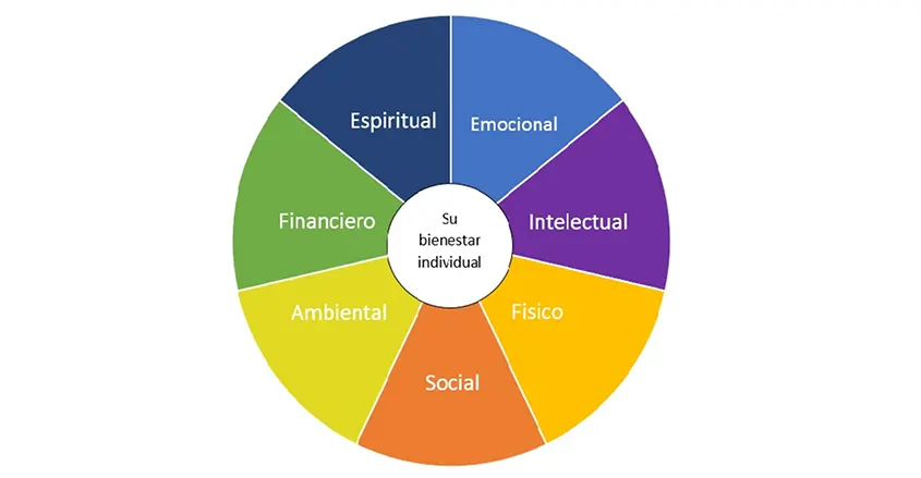 Imagen gráfico de sistema de valores Badalona Quiropráctico