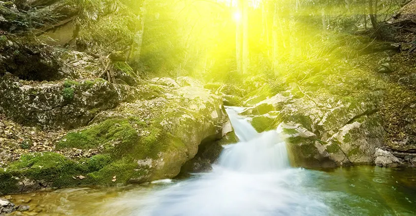 Imagen de un rio en el bosque para artículo de Quiropráctico Badalona